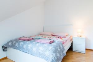 Łóżko lub łóżka w pokoju w obiekcie Apartamenty Fenix