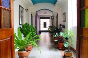 a hallway filled with lots of potted plants at Casa Morisca/Moorish House in Bogotá