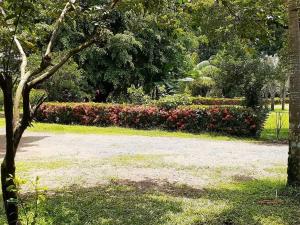 Giardino di Cabinas Mifran