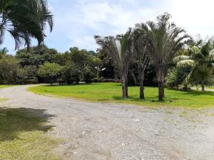 Giardino di Cabinas Mifran
