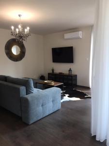 Televízia a/alebo spoločenská miestnosť v ubytovaní Thermal Forest Apartment