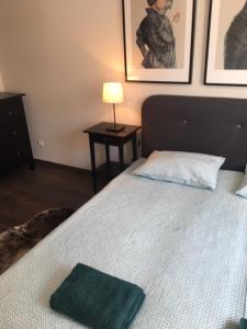 Posteľ alebo postele v izbe v ubytovaní Thermal Forest Apartment