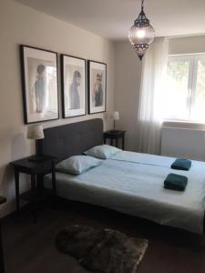 Posteľ alebo postele v izbe v ubytovaní Thermal Forest Apartment