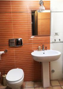 ein Bad mit einem WC und einem Waschbecken in der Unterkunft AURIGA in Pietrapertosa