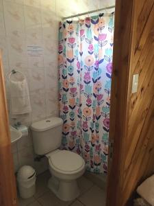 a bathroom with a toilet and a shower curtain at Apart Hotel y Cabañas Valle Exploradores in Puerto Tranquilo