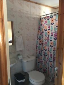 a bathroom with a toilet and a shower curtain at Apart Hotel y Cabañas Valle Exploradores in Puerto Tranquilo
