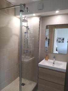 La salle de bains est pourvue d'une douche et d'un lavabo. dans l'établissement Le Palais Royal, à Saint-Raphaël