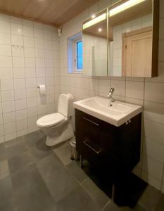 a bathroom with a toilet and a sink and a mirror at Ferienhaus Stenbäcken in Mittelschweden in Töcksfors