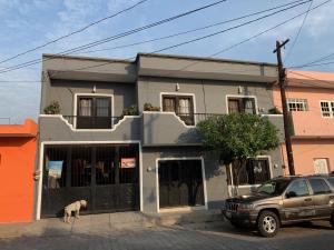een gebouw waar een hond voor staat bij Preciados Loft Cold AC best WIFI in Tequila