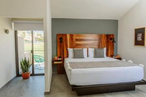a bedroom with a large bed and a large window at SIX TWO FOUR Urban Beach Hotel in San José del Cabo