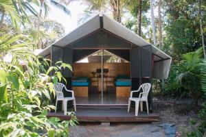 a black tent with two chairs in a forest at Dougies Backpackers Resort in Port Douglas