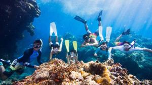 Gallery image of Gentari Homestay and Tour in Nusa Penida