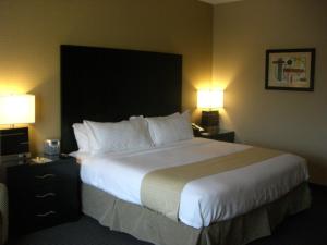 Holiday Inn St. Paul Northeast - Lake Elmo by IHG客房内的一张或多张床位