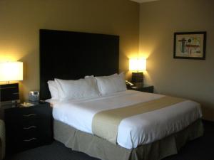 a hotel room with a large bed and two lamps at Holiday Inn St. Paul Northeast - Lake Elmo, an IHG Hotel in Lake Elmo
