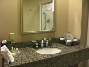 Holiday Inn St. Paul Northeast - Lake Elmo by IHG的一间浴室