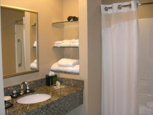y baño con lavabo y ducha con cortina de ducha. en Holiday Inn St. Paul Northeast - Lake Elmo, an IHG Hotel, en Lake Elmo