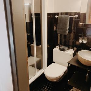 a bathroom with a toilet and a sink at Apartment Euforia in Samedan