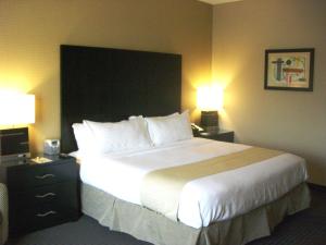 Holiday Inn St. Paul Northeast - Lake Elmo, an IHG Hotel في Lake Elmo: سرير كبير في غرفة الفندق مع مصباحين