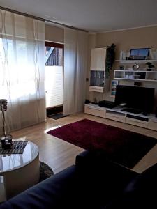 un salon avec un canapé et une télévision dans l'établissement Moderne Ferienwohnung im Herzen von Schleswig, à Schleswig