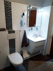 een badkamer met een toilet en een wastafel bij Moderne Ferienwohnung im Herzen von Schleswig in Schleswig
