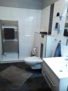 een witte badkamer met een toilet en een wastafel bij Moderne Ferienwohnung im Herzen von Schleswig in Schleswig
