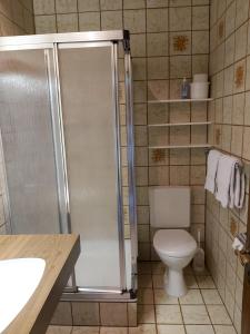 a bathroom with a shower with a toilet and a sink at Gästehaus Gitti Dorner in Hittisau