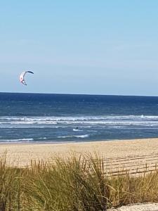 a person is flying a kite on the beach at Camping les dunes de contis in Saint-Julien-en-Born