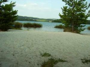 una playa con árboles y un cuerpo de agua en Blockbohlenhaus en Wackersdorf