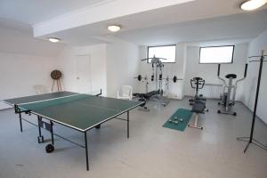パンポロボにあるStudio in Hotel Laplandiaの卓球台、エクササイズ機器が備わる客室です。