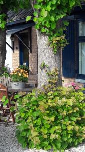 Imagen de la galería de Huis De Roos, en De Kwakel