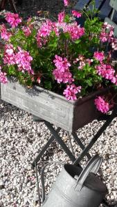 Imagen de la galería de Huis De Roos, en De Kwakel