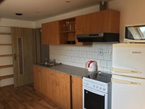 Kuchyňa alebo kuchynka v ubytovaní Apartment Liberec Stříbrný Kopec