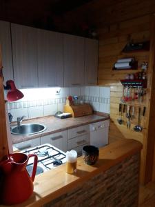 Кухня или кухненски бокс в Planinska kuća MAK