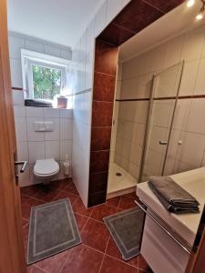 a small bathroom with a toilet and a shower at Ferienwohnung Hirscher in Annaberg im Lammertal