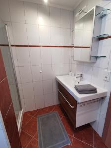 a bathroom with a sink and a mirror at Ferienwohnung Hirscher in Annaberg im Lammertal