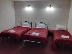 Llit o llits en una habitació de Pensiunea Hanami