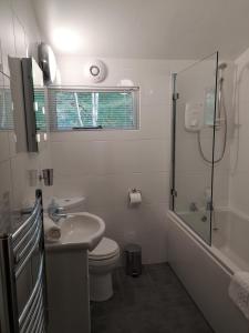a bathroom with a toilet and a shower and a sink at Loch Monzievaird Chalets in Crieff