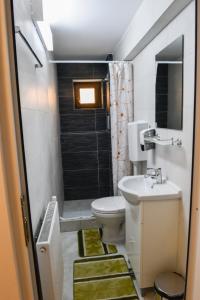 Kylpyhuone majoituspaikassa Hotel Darina Tarnaveni