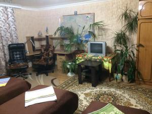 Zimmer mit Schreibtisch, Computer und Pflanzen in der Unterkunft Rooms with Fortetsya View in Kamjanez-Podilskyj