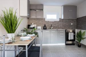 Kuchyňa alebo kuchynka v ubytovaní Csigaház Apartman