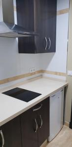 Kuchnia lub aneks kuchenny w obiekcie Hostal Málaga