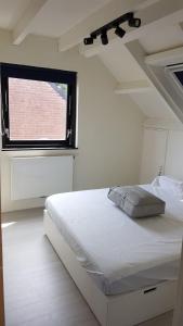 een wit bed in een kamer met een raam bij Buitenplaats Schouwen in Burgh Haamstede