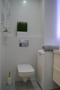 ein Badezimmer mit einem WC und einer grünen Pflanze an der Wand in der Unterkunft Stella del Mare 4 in Władysławowo