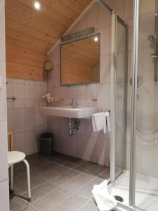 a bathroom with a sink and a shower at Klara Appartements in Galtür