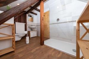 a bathroom with a shower and a toilet in it at Heuhotel und Gästehaus Kohlstädt in Bad Sooden-Allendorf