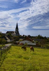 two horses grazing in a field in front of a church at Ferienhaus Götten in Hontheim