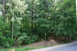 a garden with trees and bushes and a street at Hotel Berggasthof Waldlust in Wunsiedel