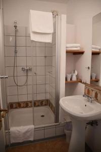 uma casa de banho com um chuveiro, um lavatório e um WC. em Hotel Berggasthof Waldlust em Wunsiedel