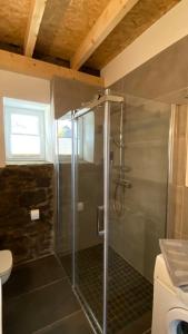 a shower with a glass door in a bathroom at Rennscheune - Himmlisch in die Grüne Hölle in Kelberg