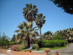 Zahrada ubytování B&B Villa Le Palme Scalea